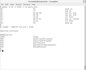 Imagen 1 para PEV - The PE file analysi…