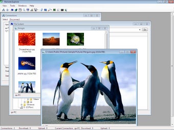 Imagen 0 para Remote Explorer