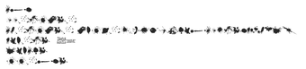 Image 0 for Split Splat Splodge