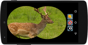 Image 2 for Binoculars & Light