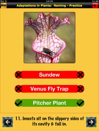 Image 0 for easyLearn Adaptations in …
