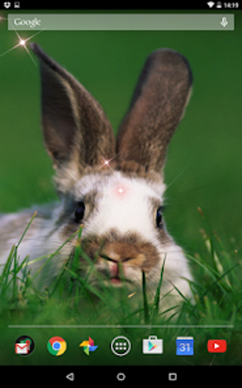 Image 0 for Cute Rabbit Live Wallpepe…
