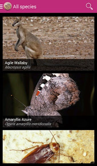 Imagen 2 para Field Guide Queensland Fa…