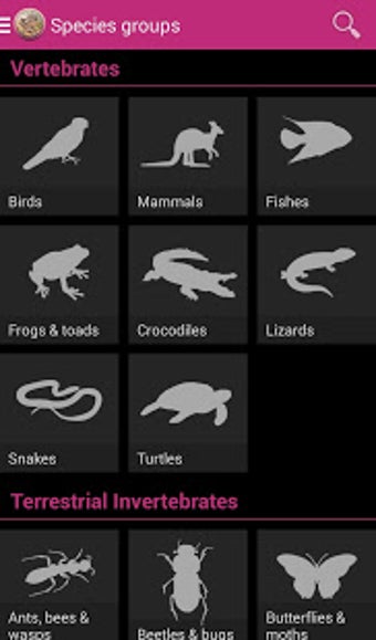 Imagen 0 para Field Guide Queensland Fa…