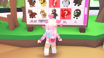 Imagen 2 para Mod Adopt Me Instructions…