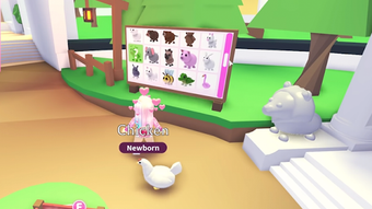 Imagen 1 para Mod Adopt Me Instructions…