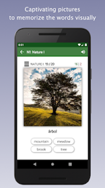 Image 3 for Bilinguae - Learn English…