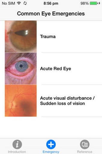 Imagen 0 para Eye Emergency Manual