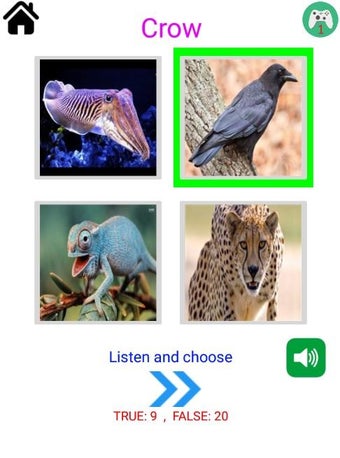 Image 3 for English 5000 Words with P…
