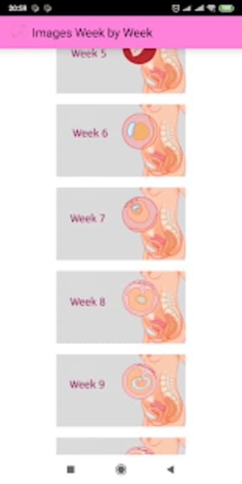 Image 3 for Pregnancy Week By Week