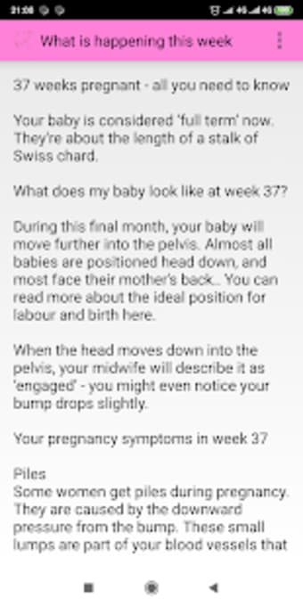 Image 2 for Pregnancy Week By Week
