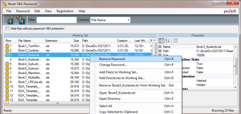 Imagen 0 para Reset VBA Password