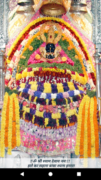 Image 0 for Shyam Sarkar Live Darshan…