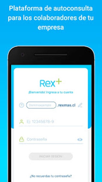 Image 1 for Rex+ Remuneraciones