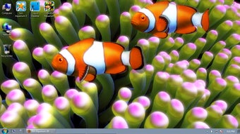 Imagen 1 para Clownfish Aquarium Live W…