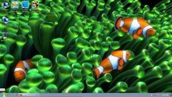 Imagen 0 para Clownfish Aquarium Live W…