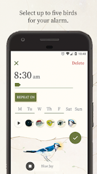 Image 1 for Dawn Chorus