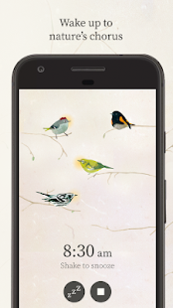 Imagen 1 para Dawn Chorus