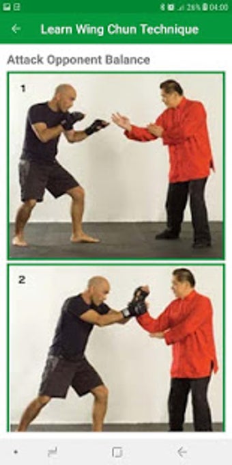 Imagen 1 para Learn Wing Chun Technique…