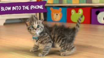Imagen 1 para Little Kitten - My Favori…