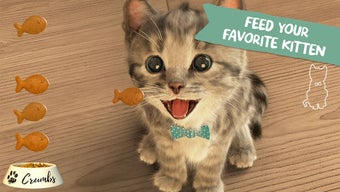 Imagen 3 para Little Kitten - My Favori…