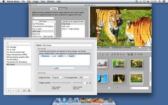 Image 3 for Resize Sense
