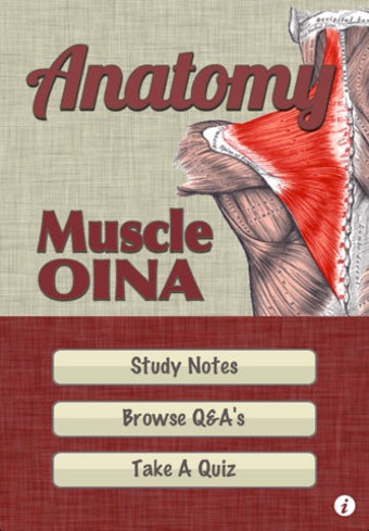 Imagen 0 para Anatomy - Muscle OINA
