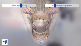 Image 2 for Dental Simulator