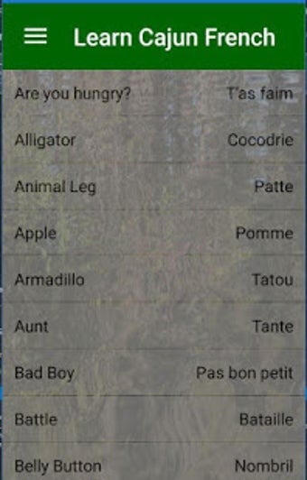 Image 3 for LearnCajun