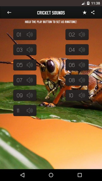 Image 1 for Cricket Sounds