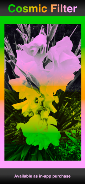 Image 3 for Hue Cycle
