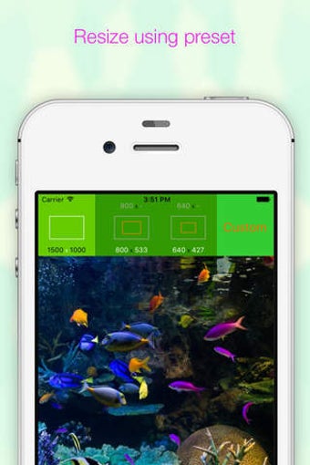 Image 0 for EverClipper Plus - Photo …