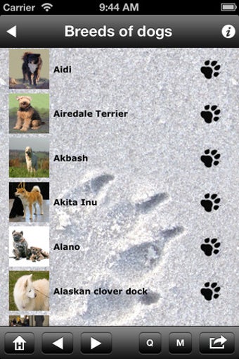 Image 0 for Breeds of Dogs