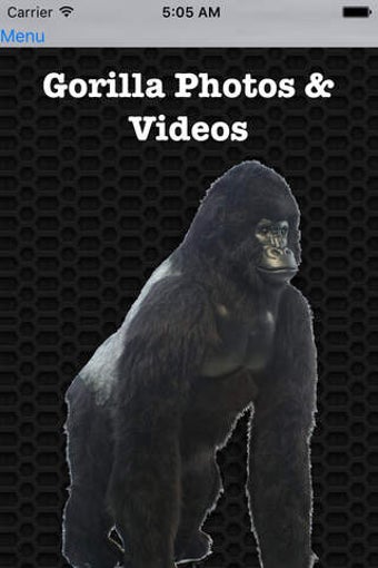 Imagen 0 para Gorilla Photos & Videos F…
