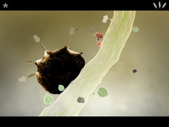 Image 0 for Botanicula