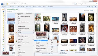 Imagen 0 para XnView Shell Extension Po…