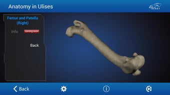 Image 0 for Osteology in Dogs (Licens…