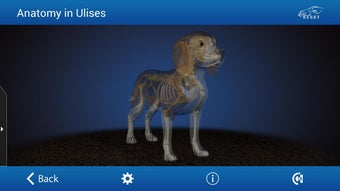 Image 1 for Osteology in Dogs (Licens…
