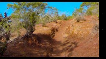 Image 3 for Treadmill Trails