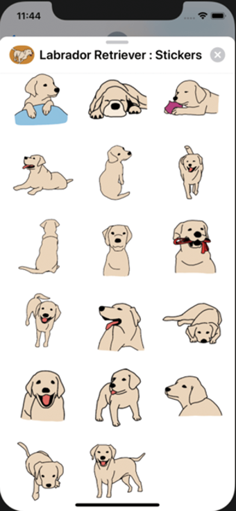 Image 2 for Labrador Retriever : Stic…