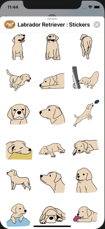 Image 1 for Labrador Retriever : Stic…