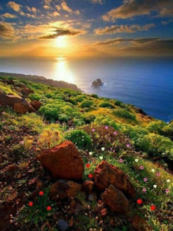 Image 2 for Free Jigsaw Puzzles