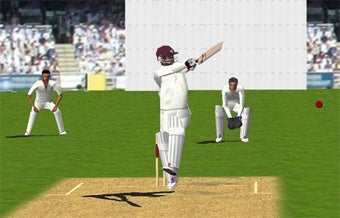 Imagen 0 para Cricket 3D