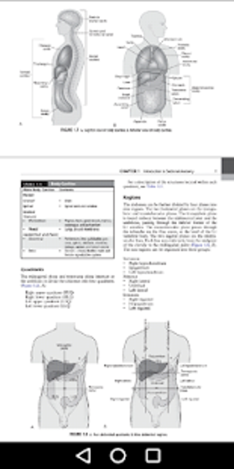 Imagen 2 para CT Scan Cross Sectional A…