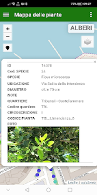 Image 0 for Palermo TreeCityMap