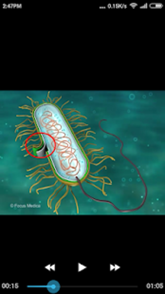 Image 1 for Microbiology Dictionary