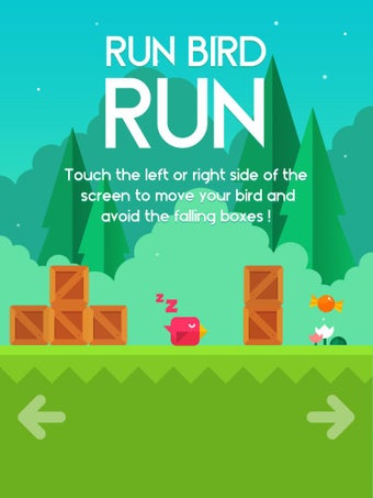 Image 1 for Run Bird Run