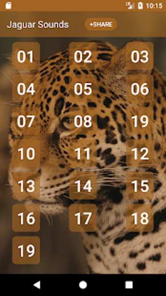 Image 0 for Jaguar (Animal) Sounds