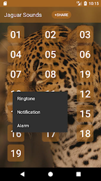 Image 1 for Jaguar (Animal) Sounds