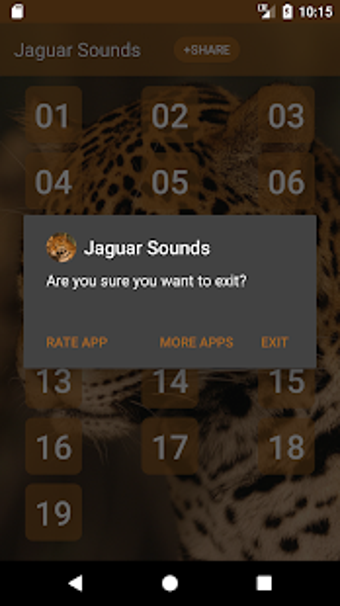 Image 2 for Jaguar (Animal) Sounds